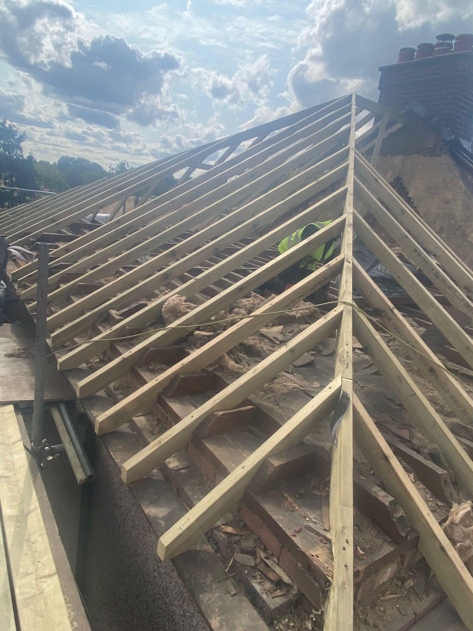 Moss removal in Wimbledon