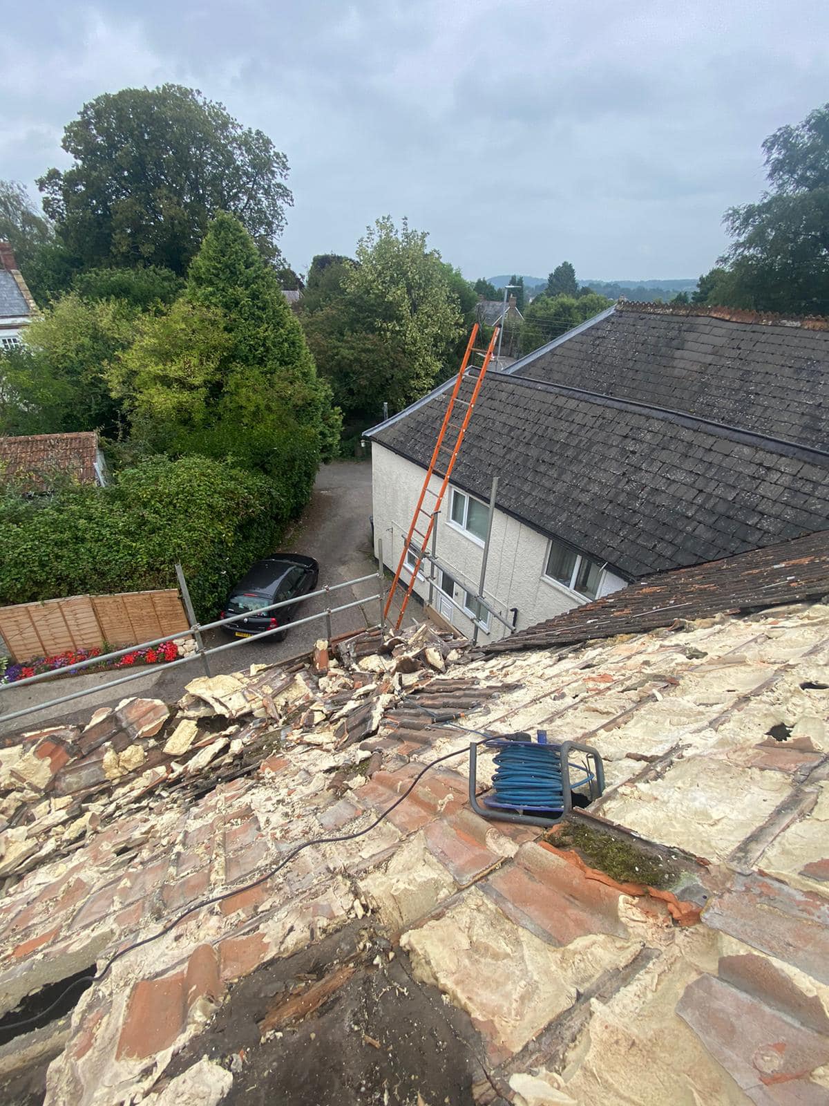 Roof survey in Kensington