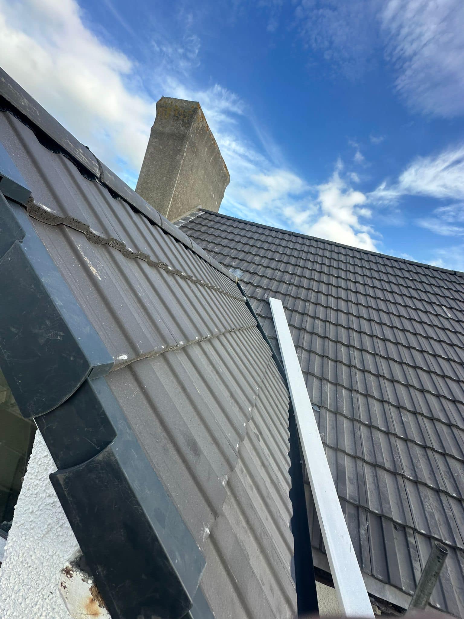 Moss removal in Wimbledon