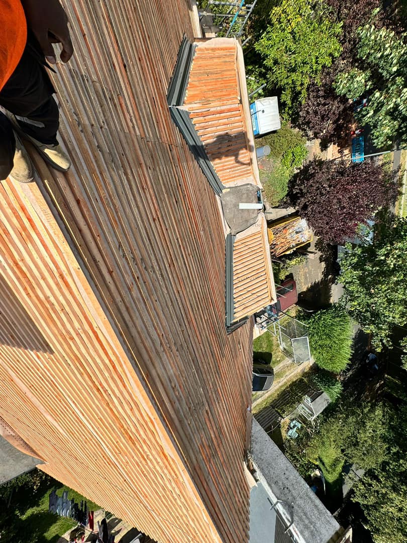 Moss removal in Wimbledon