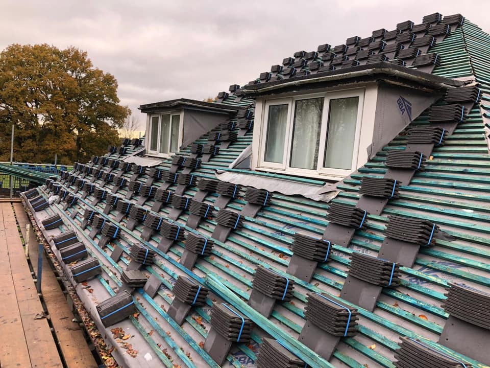 Moss removal in Wimbledon