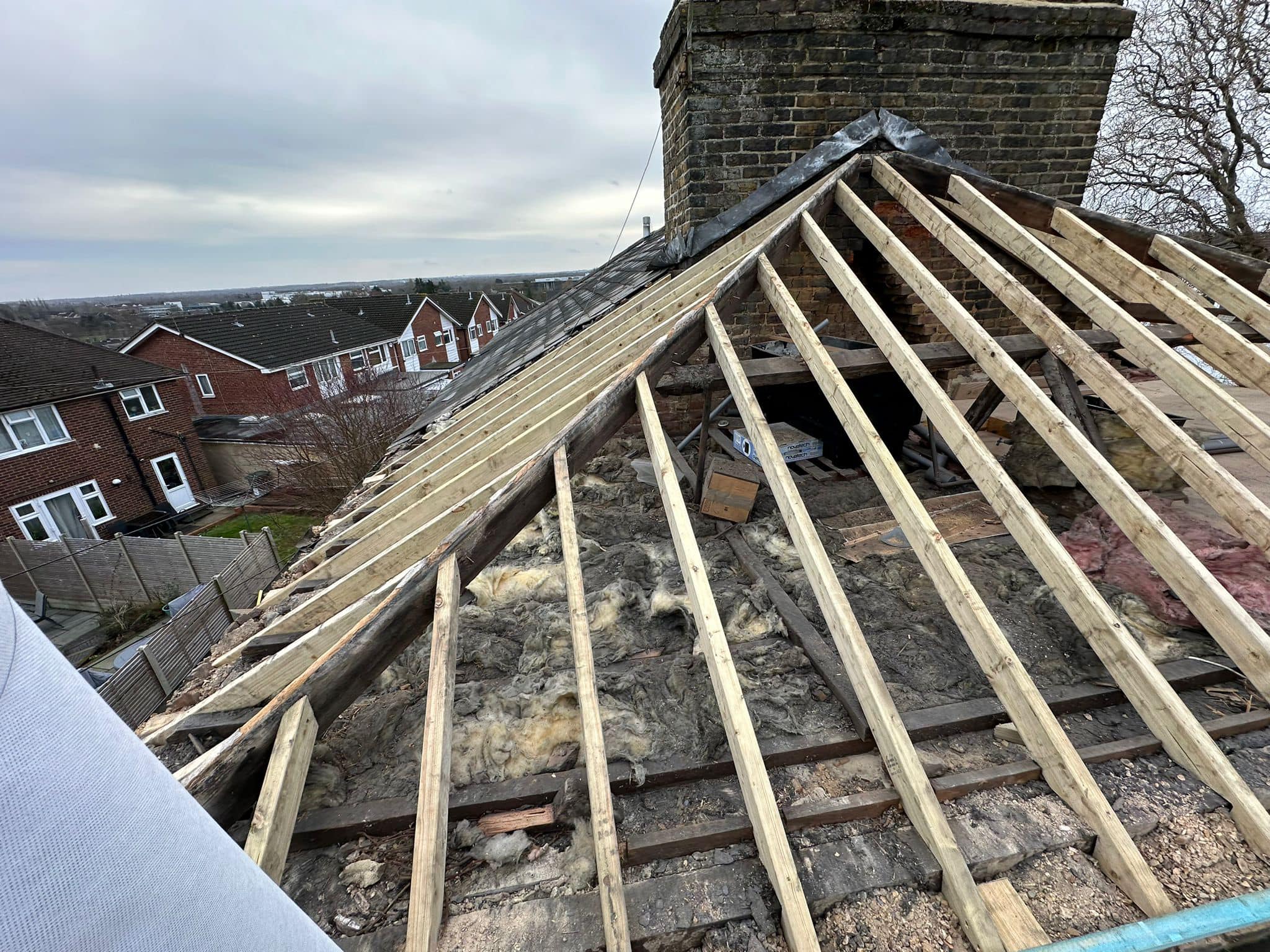Moss removal in Wimbledon