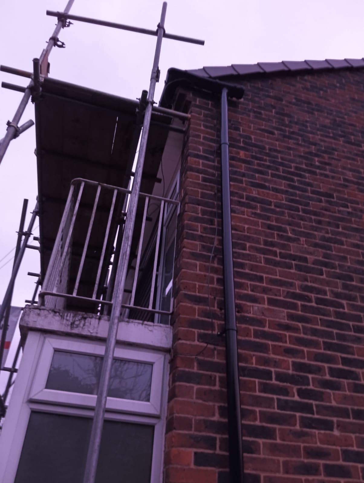 Moss removal in Wimbledon