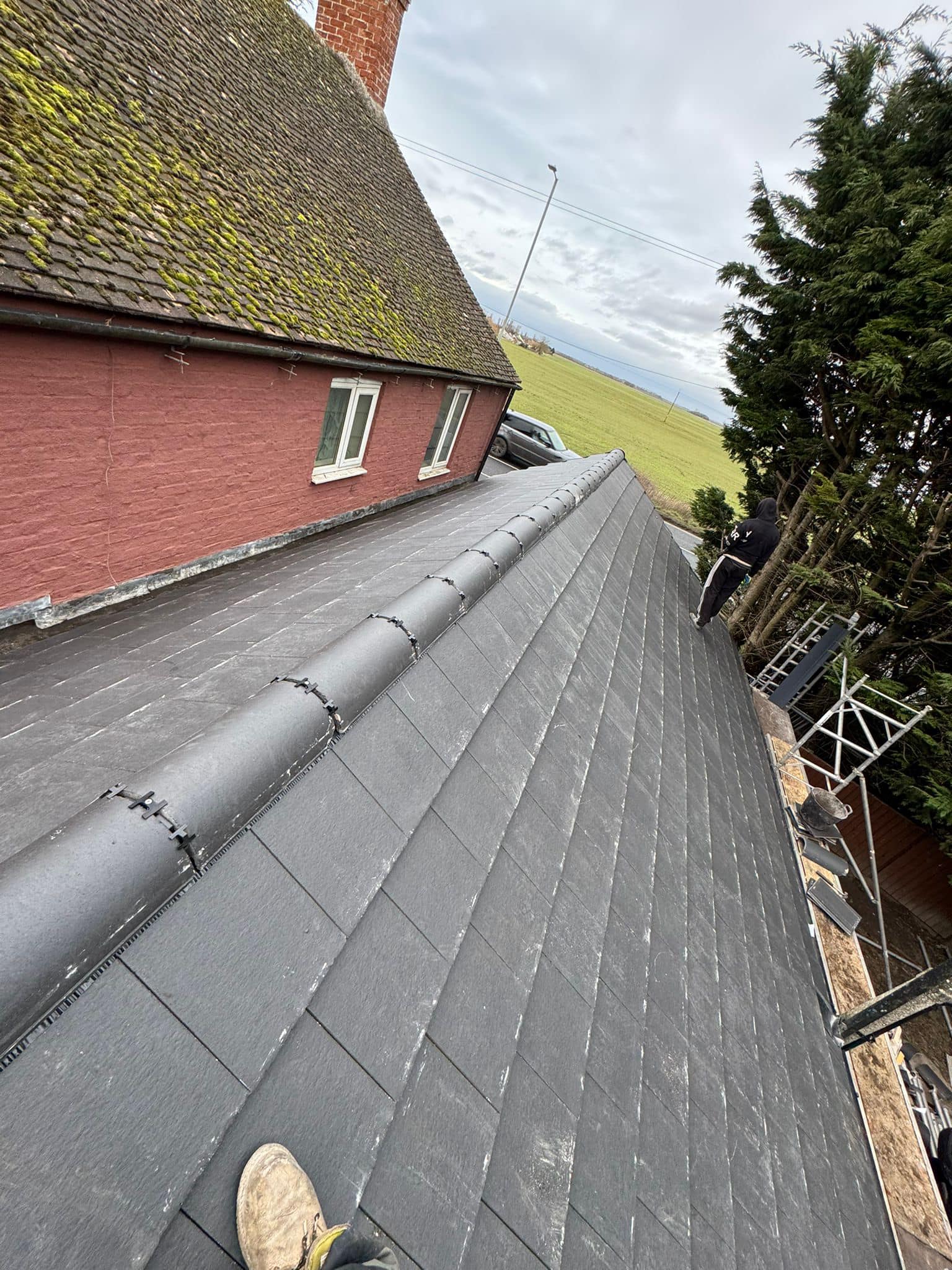 Moss removal in Wimbledon