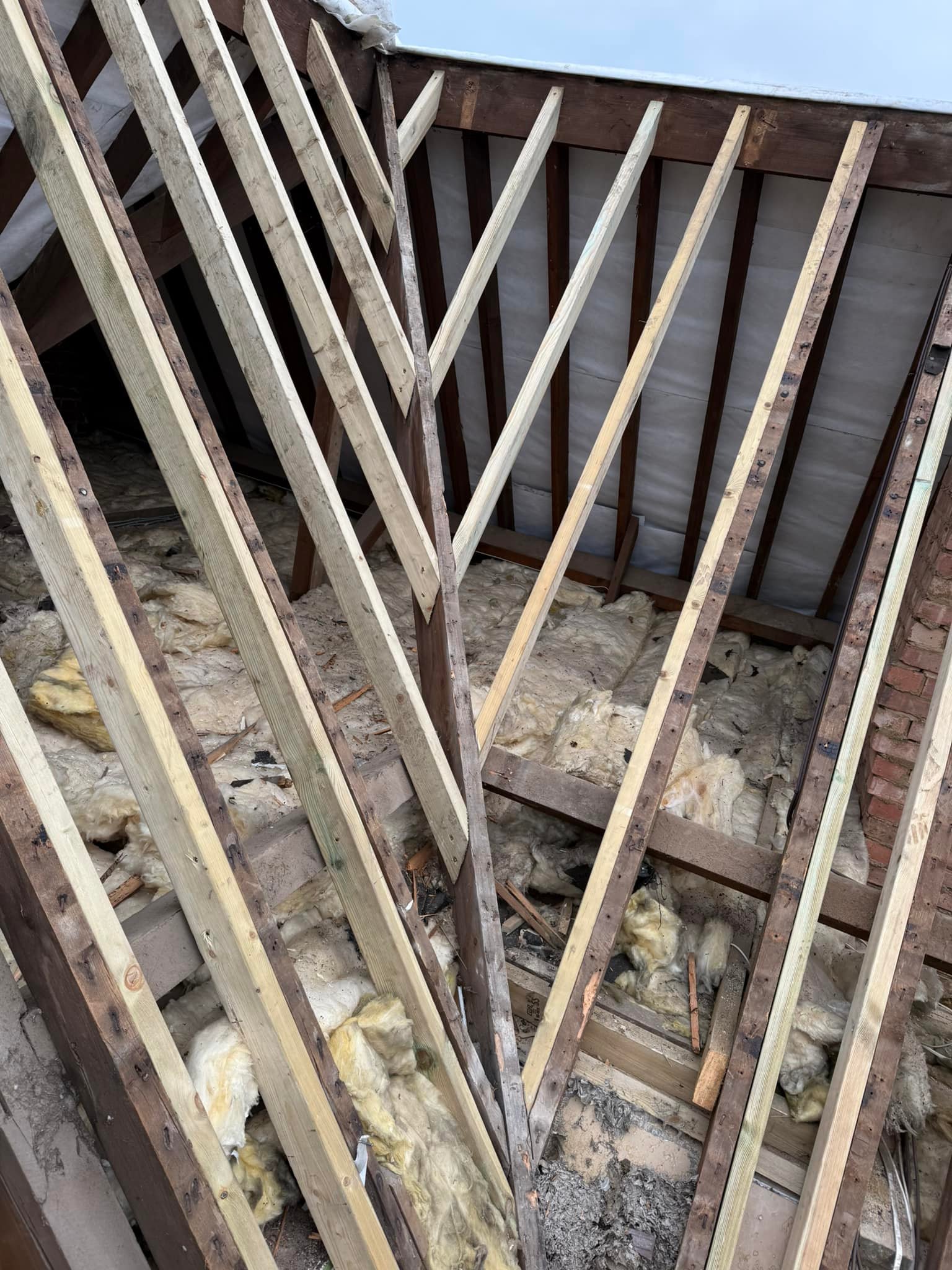 Moss removal in Wimbledon