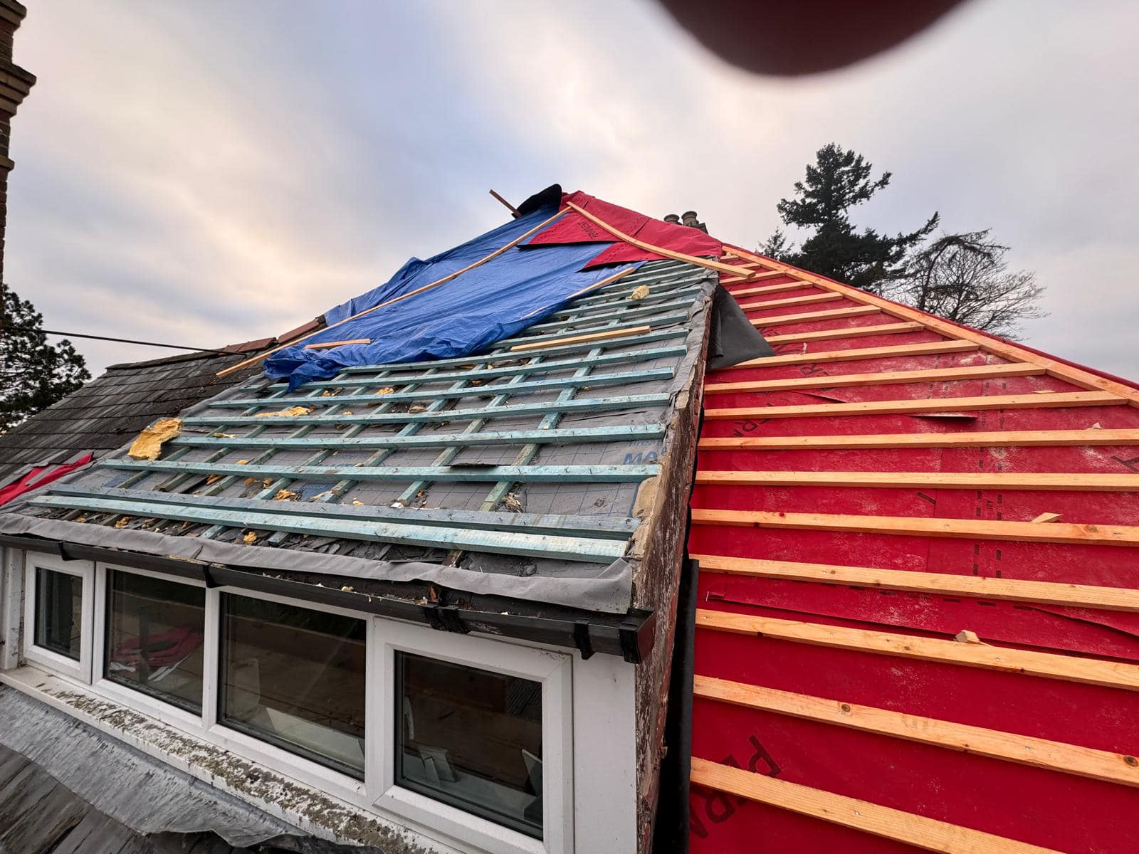 Roof survey in Kensington