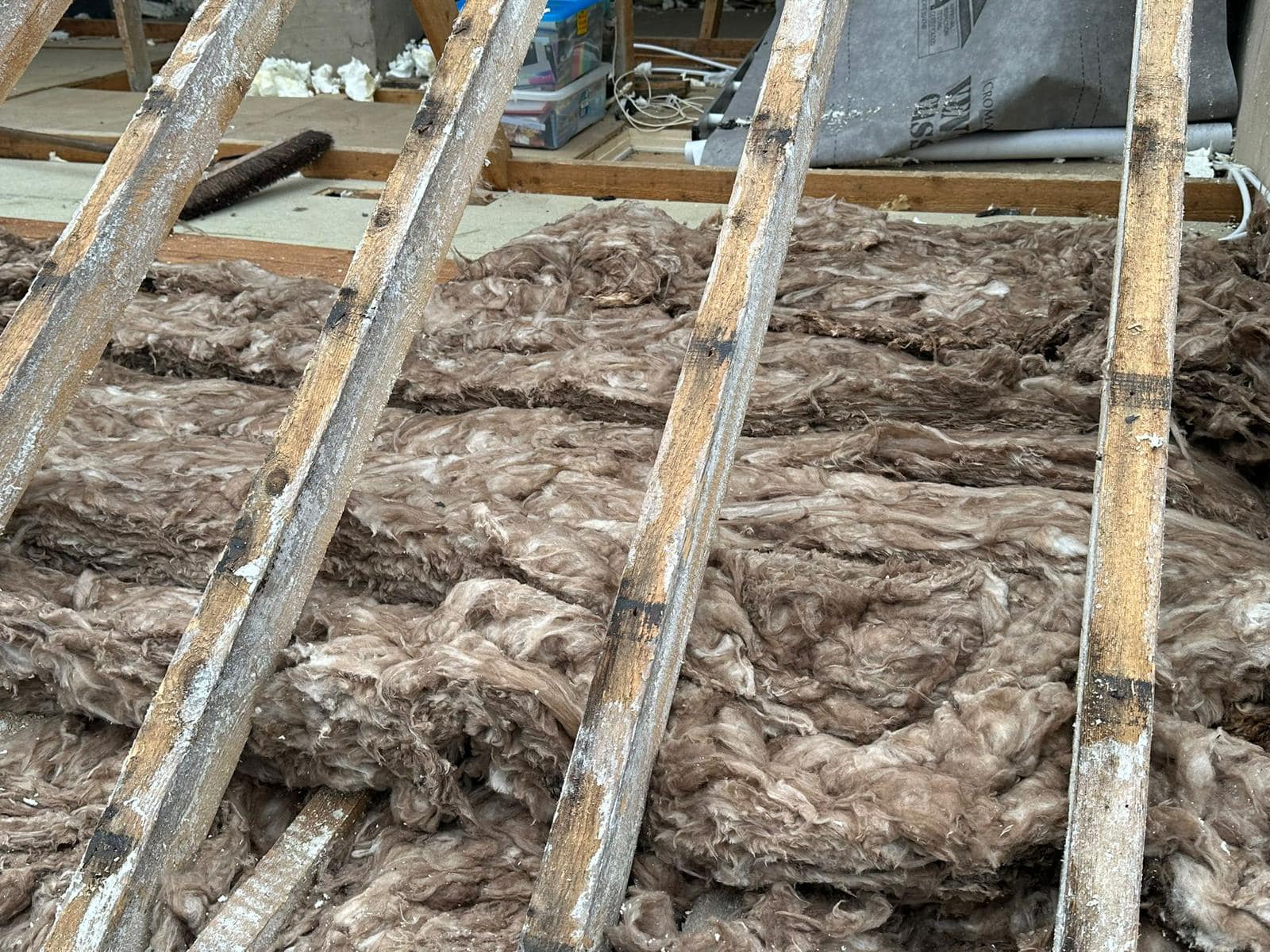 Roof survey in Kensington