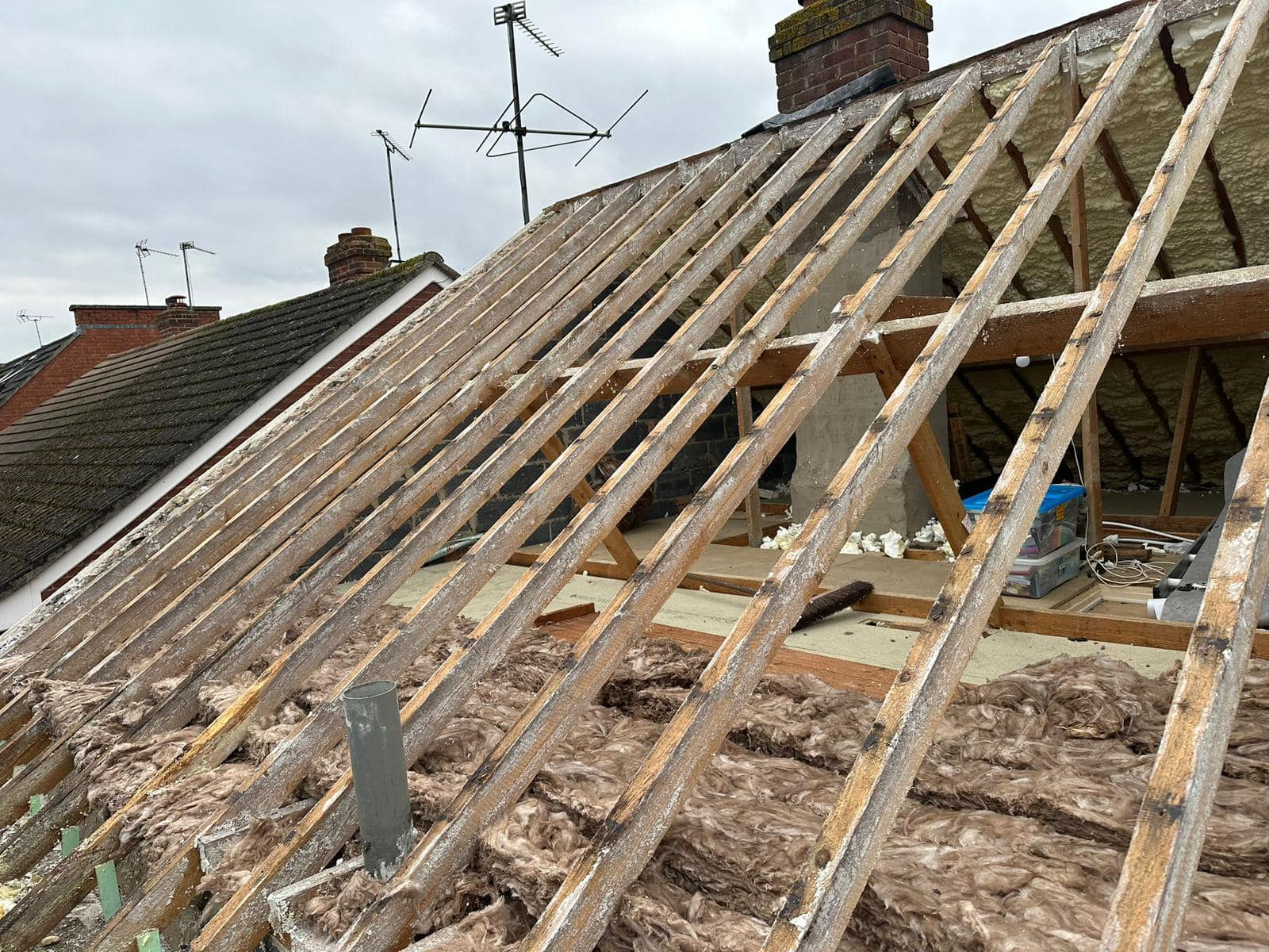 Moss removal in Wimbledon