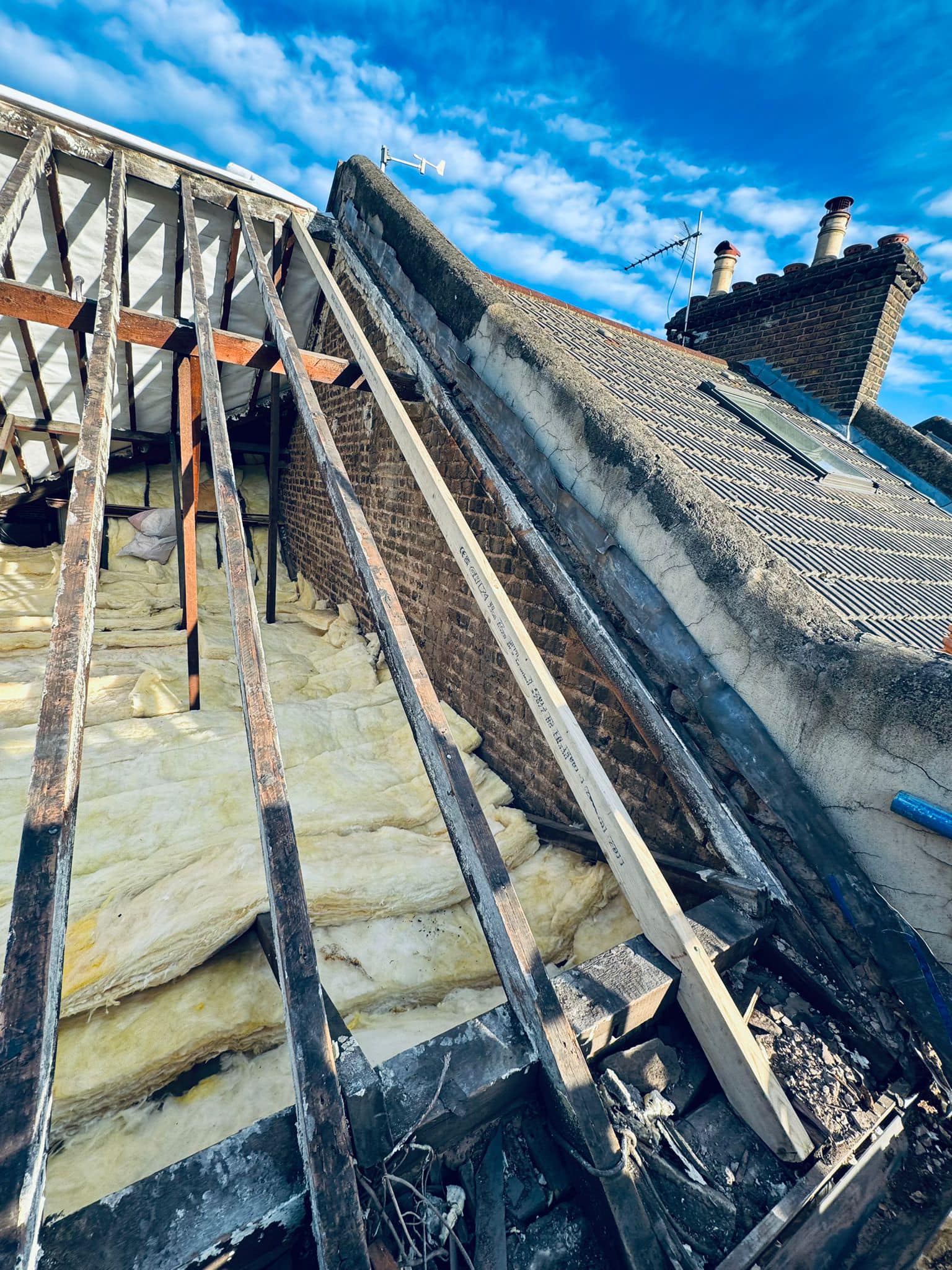 Moss removal in Wimbledon