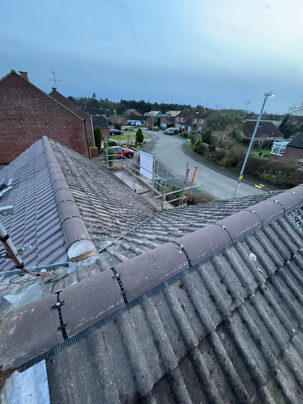 Moss removal in Wimbledon