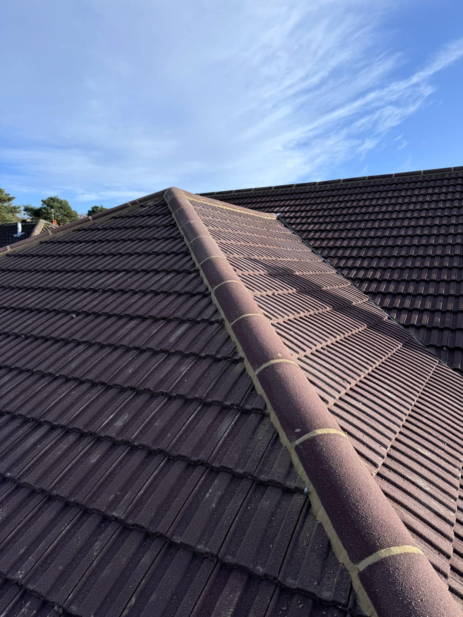 Roof survey in Kensington