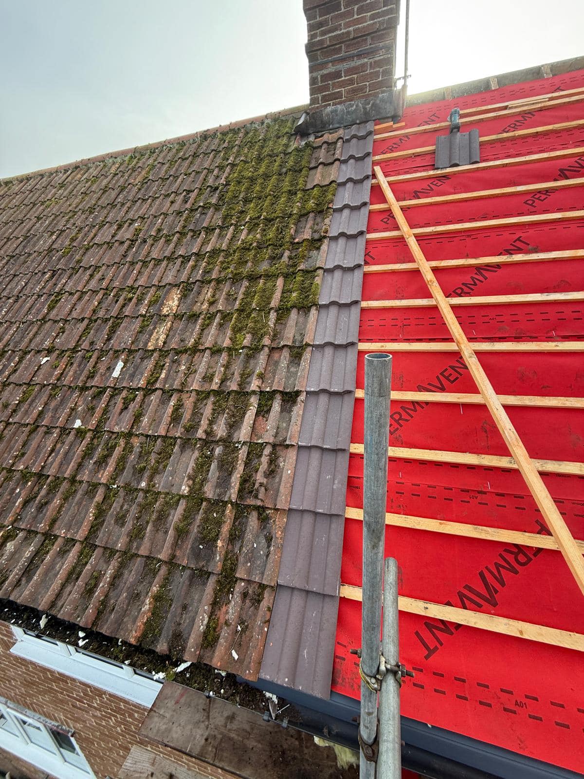 Roof survey in Kensington