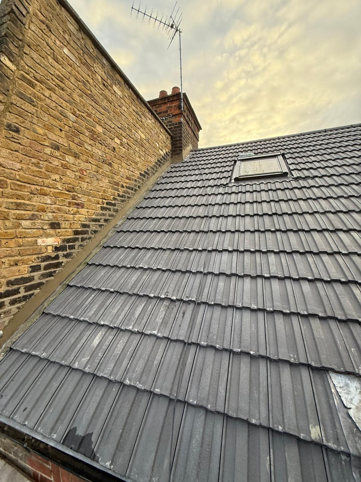 Moss removal in Wimbledon