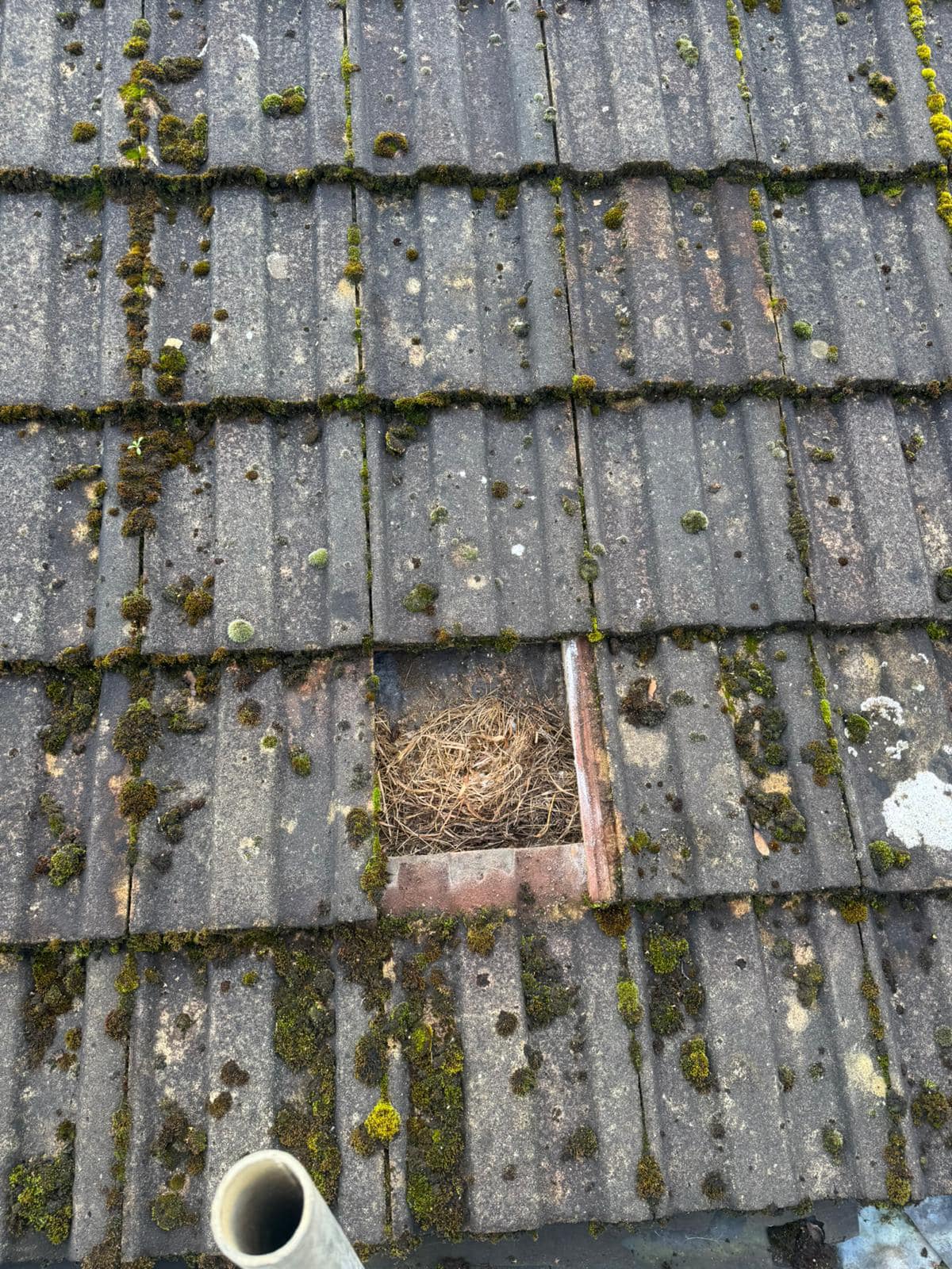 Gutter installation in Chelsea