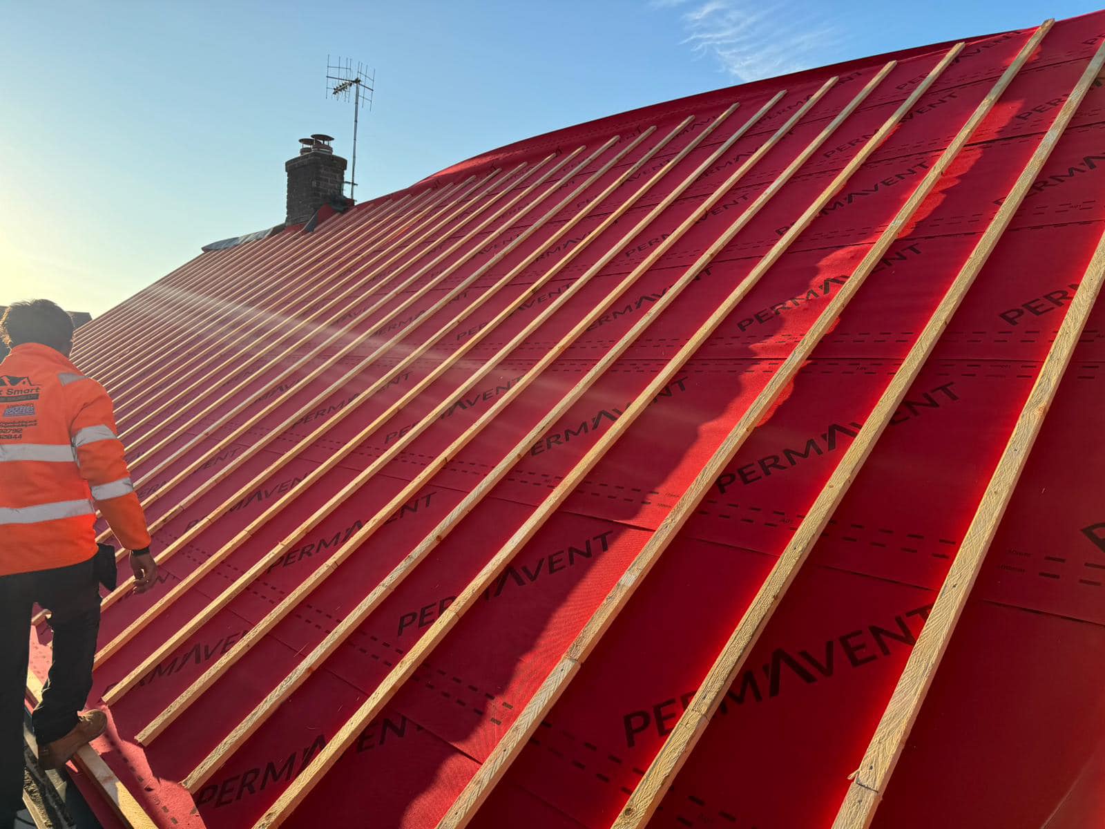 Moss removal in Wimbledon