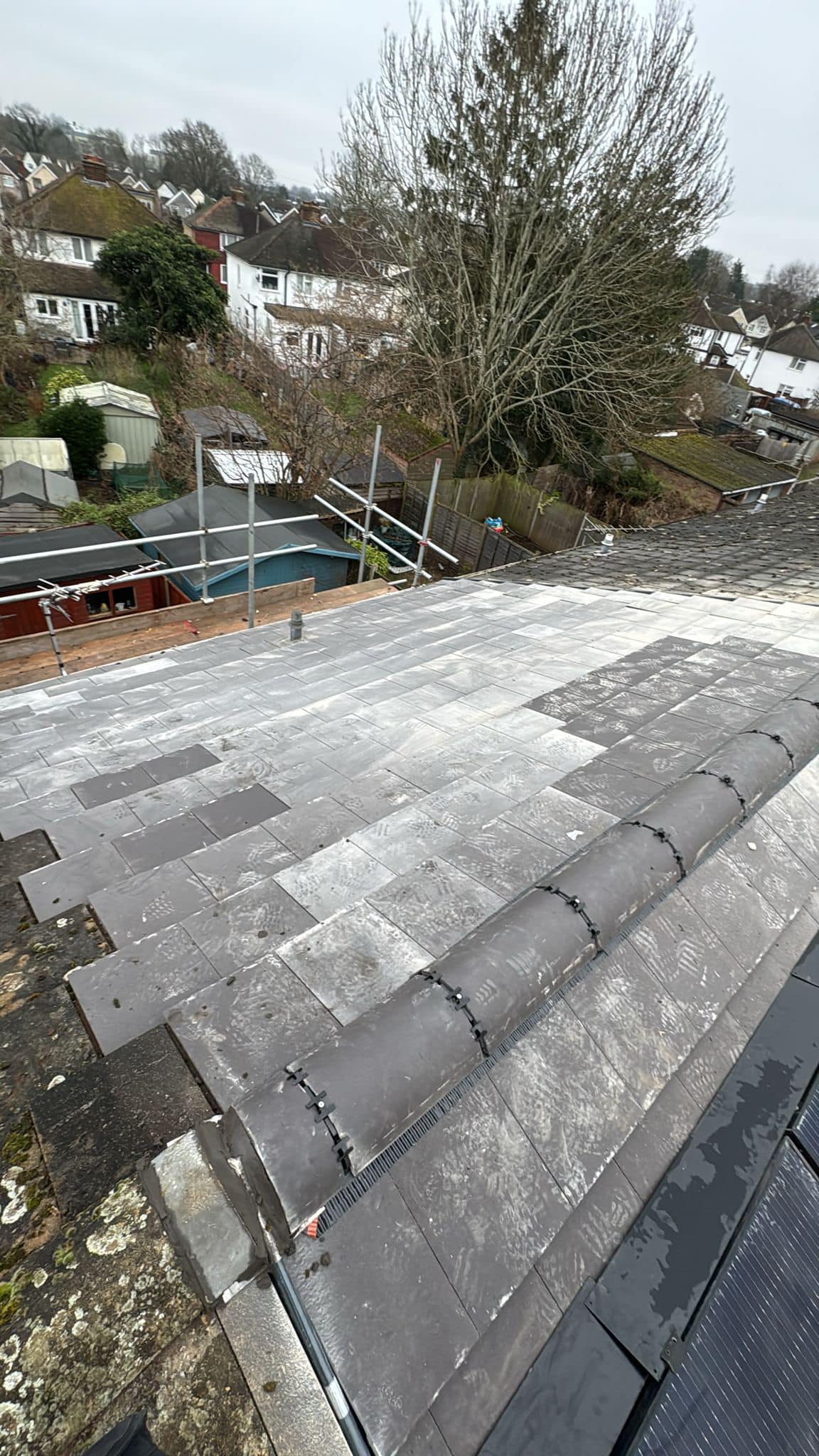 Moss removal in Wimbledon