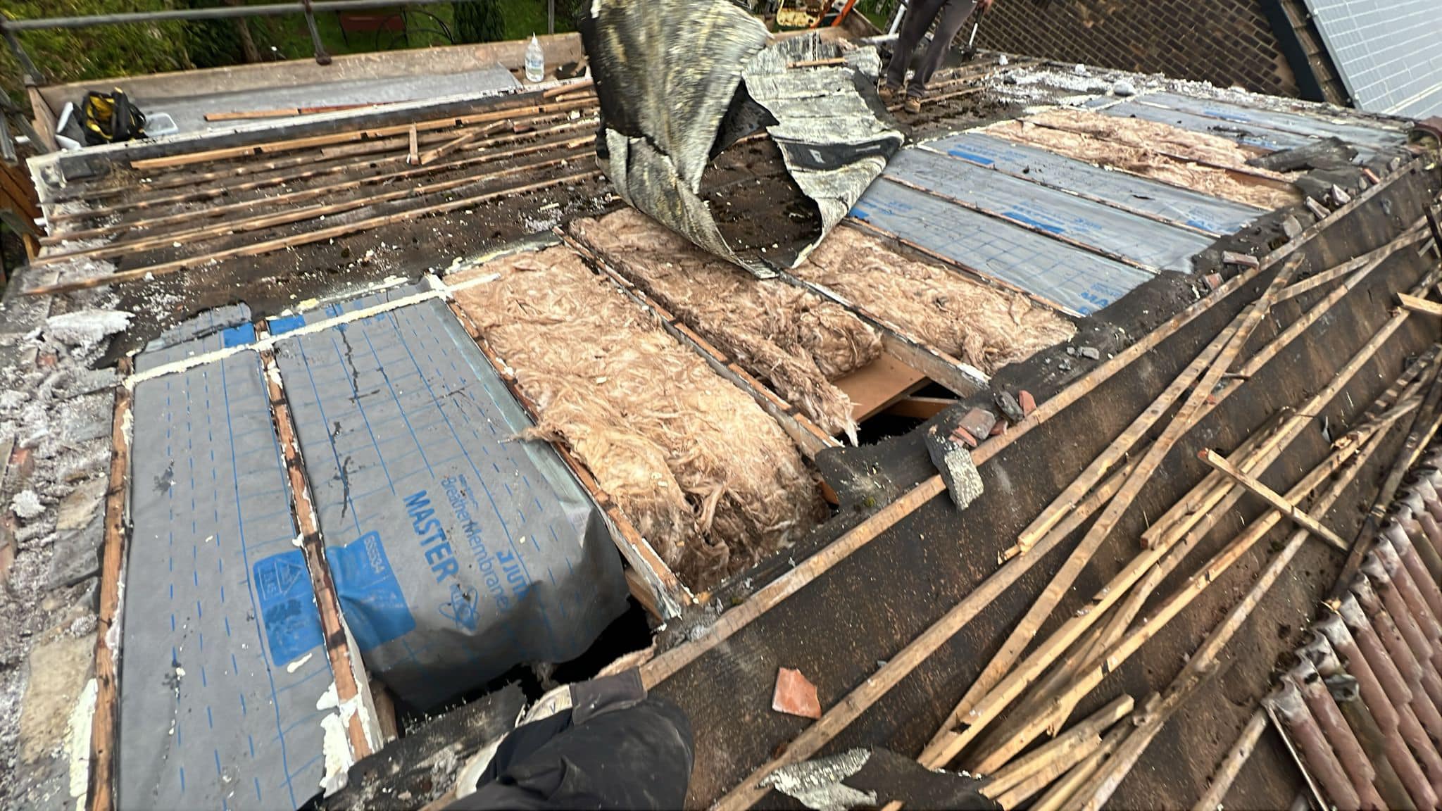 Moss removal in Wimbledon