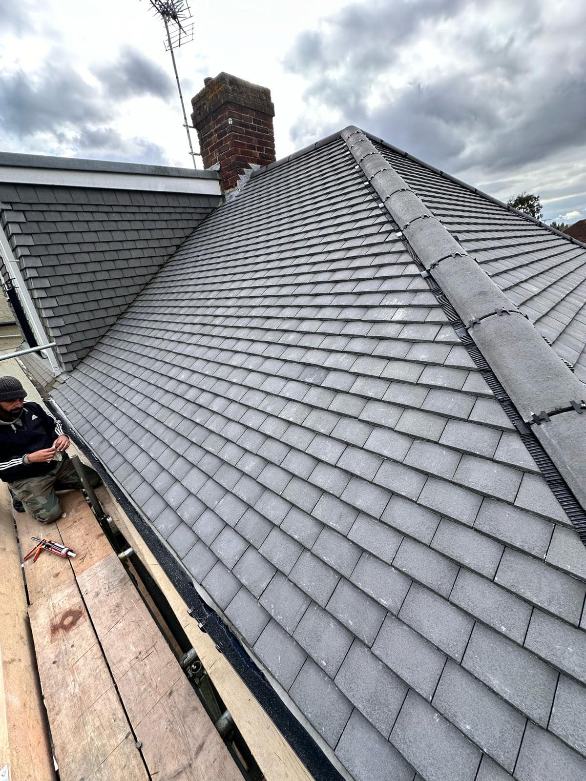 Moss removal in Wimbledon