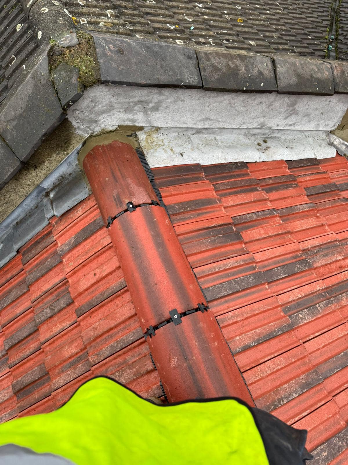 Moss removal in Wimbledon