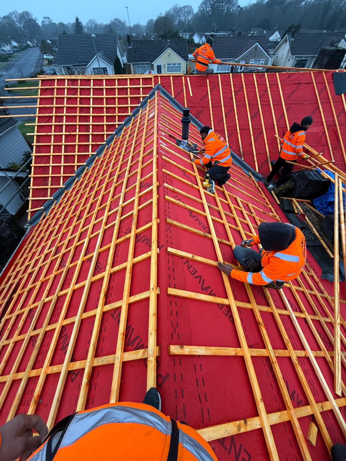 Moss removal in Wimbledon