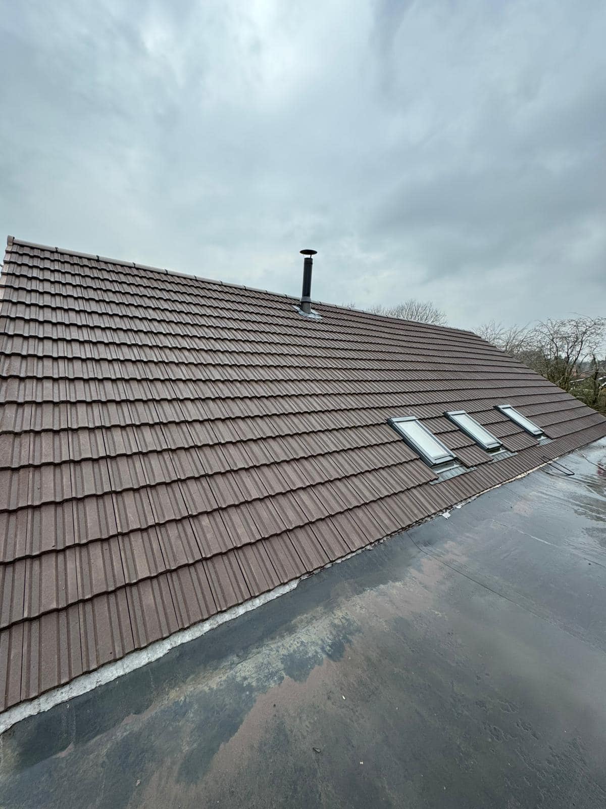 Storm damage repair in Battersea