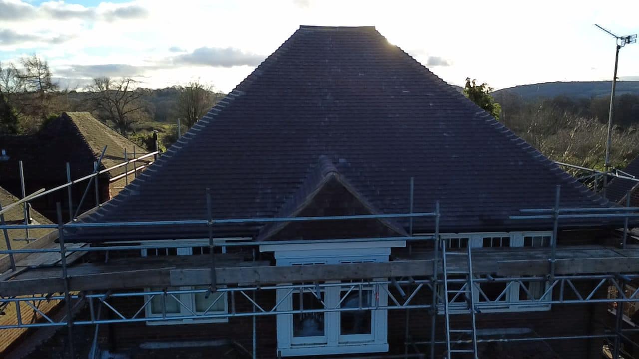 Moss removal in Wimbledon