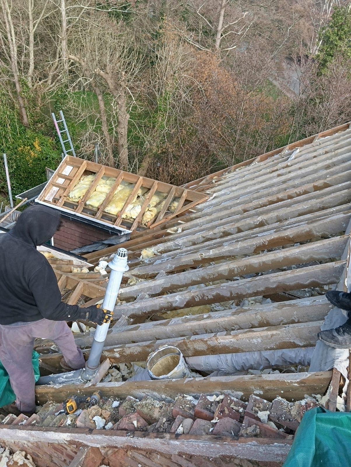 Moss removal in Wimbledon