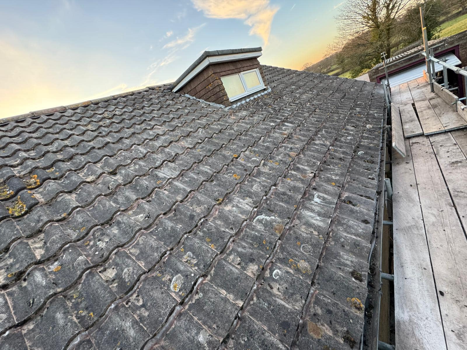 Moss removal in Wimbledon
