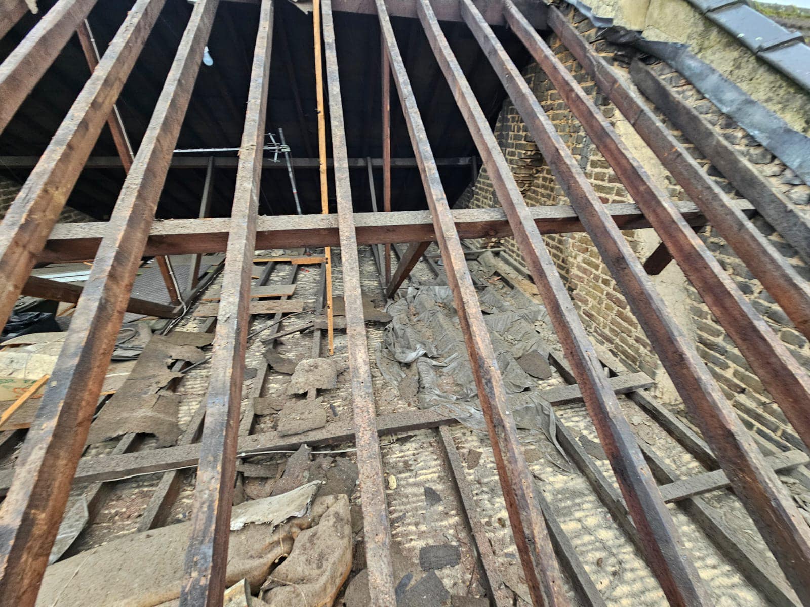 Moss removal in Wimbledon