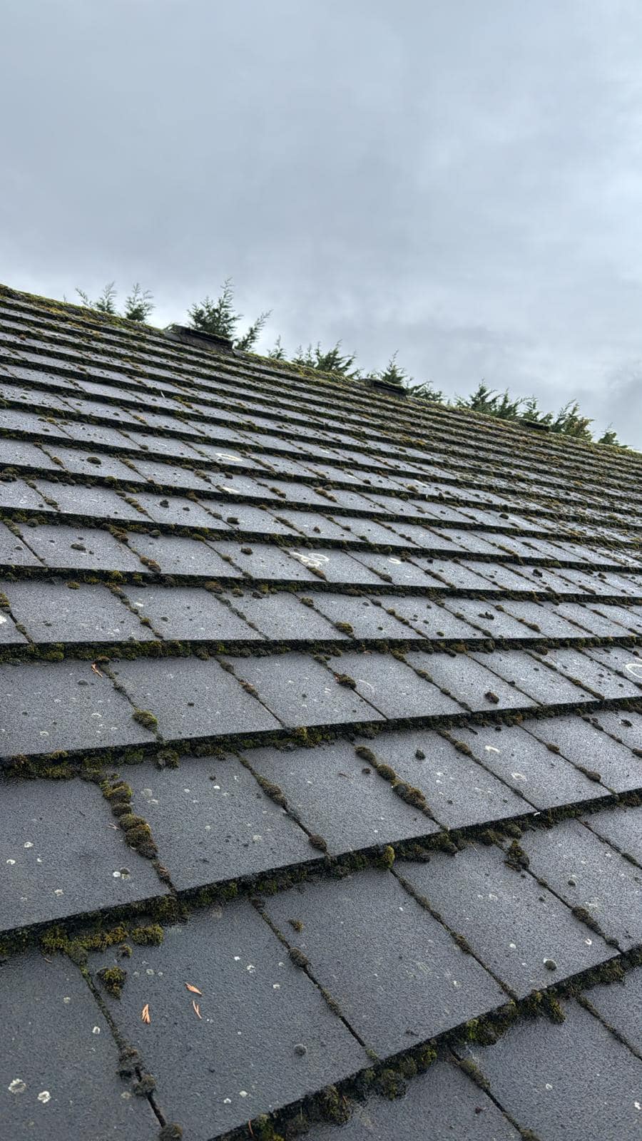 Professional roofers working on a property in London - KS Roof Master