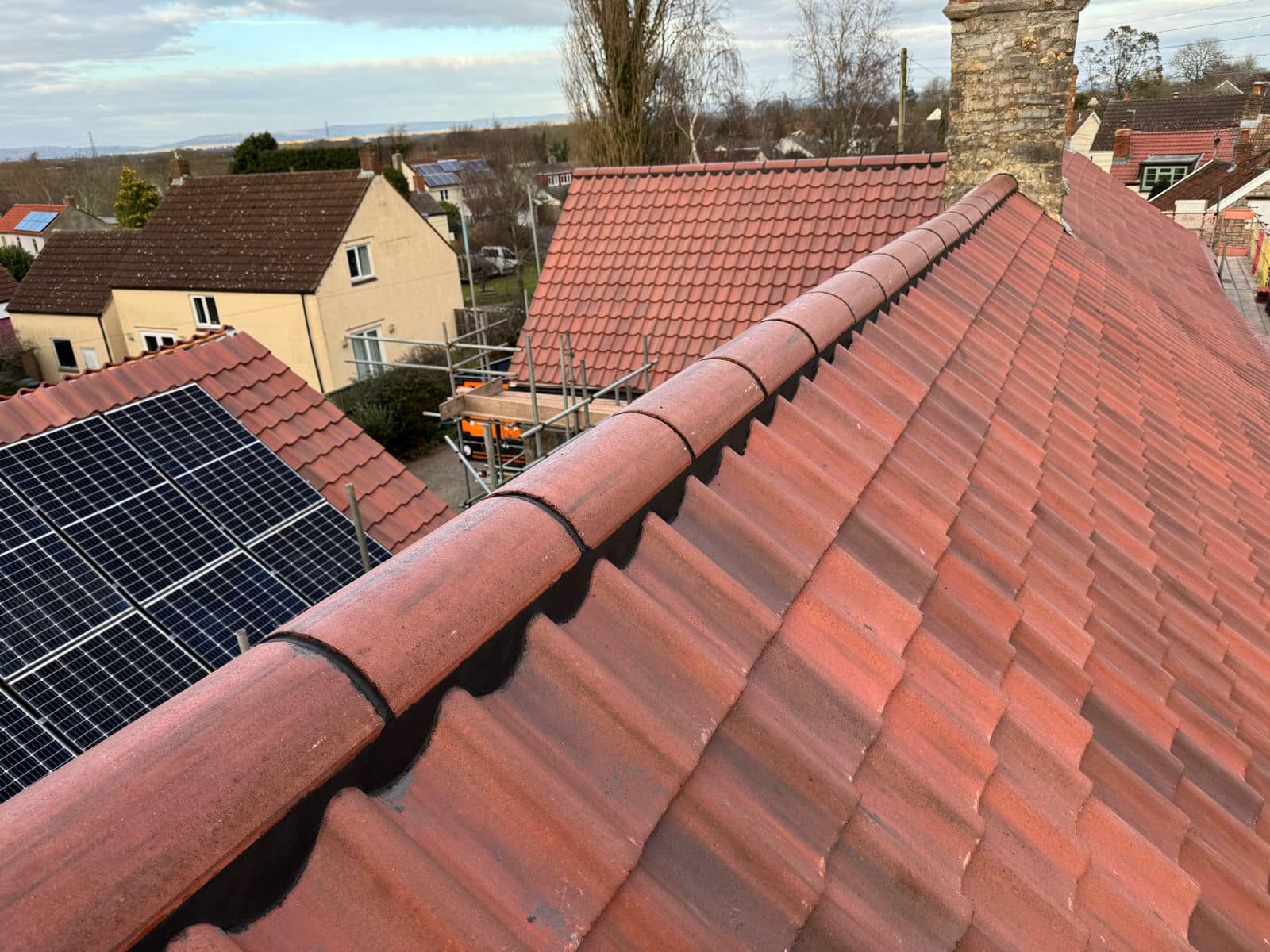 Moss removal in Wimbledon