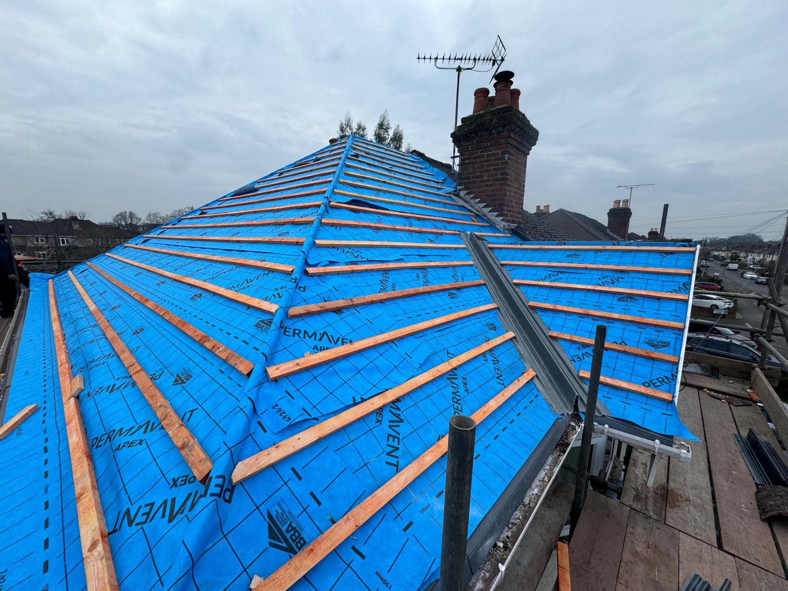 Moss removal in Wimbledon