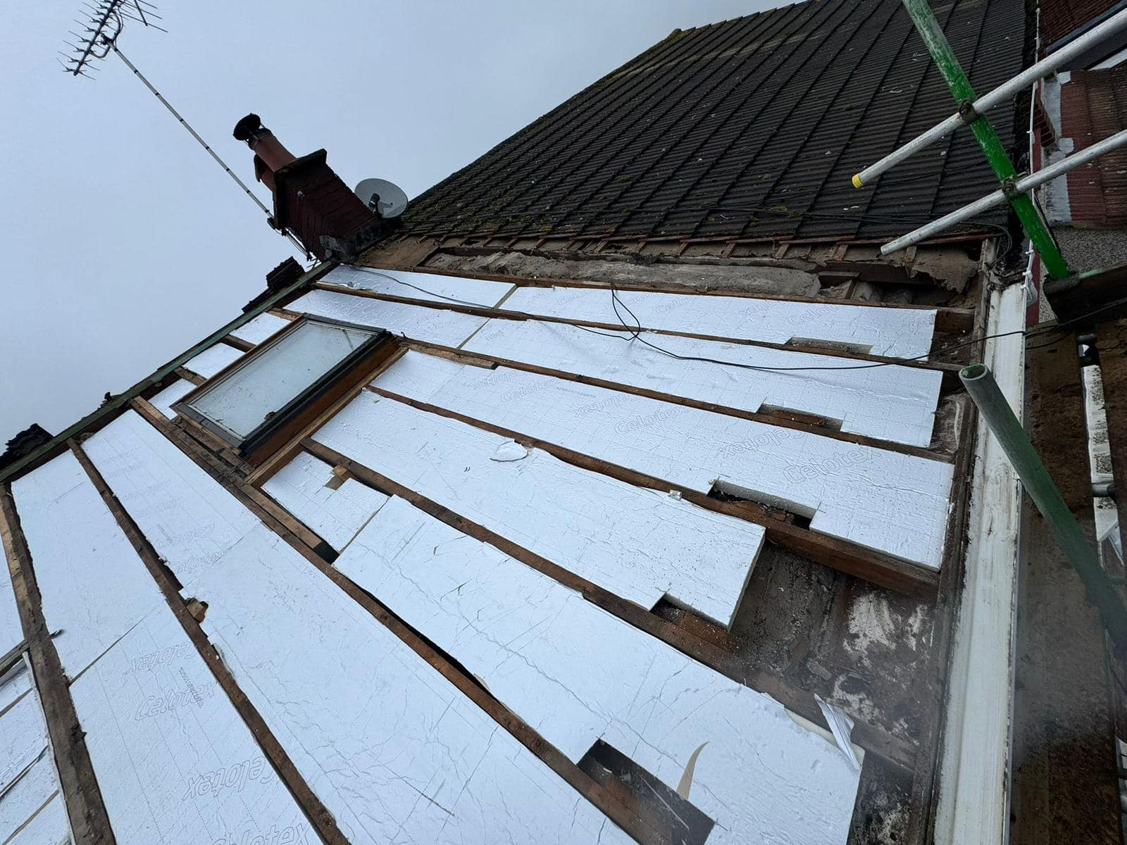 Roof survey in Kensington