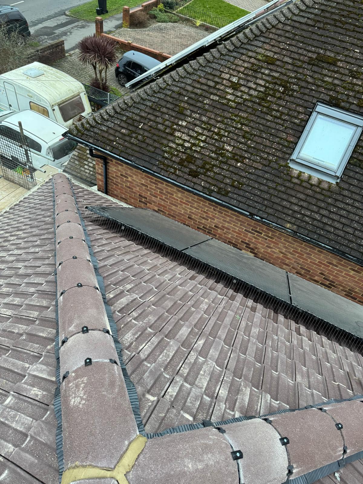 Roof survey in Kensington