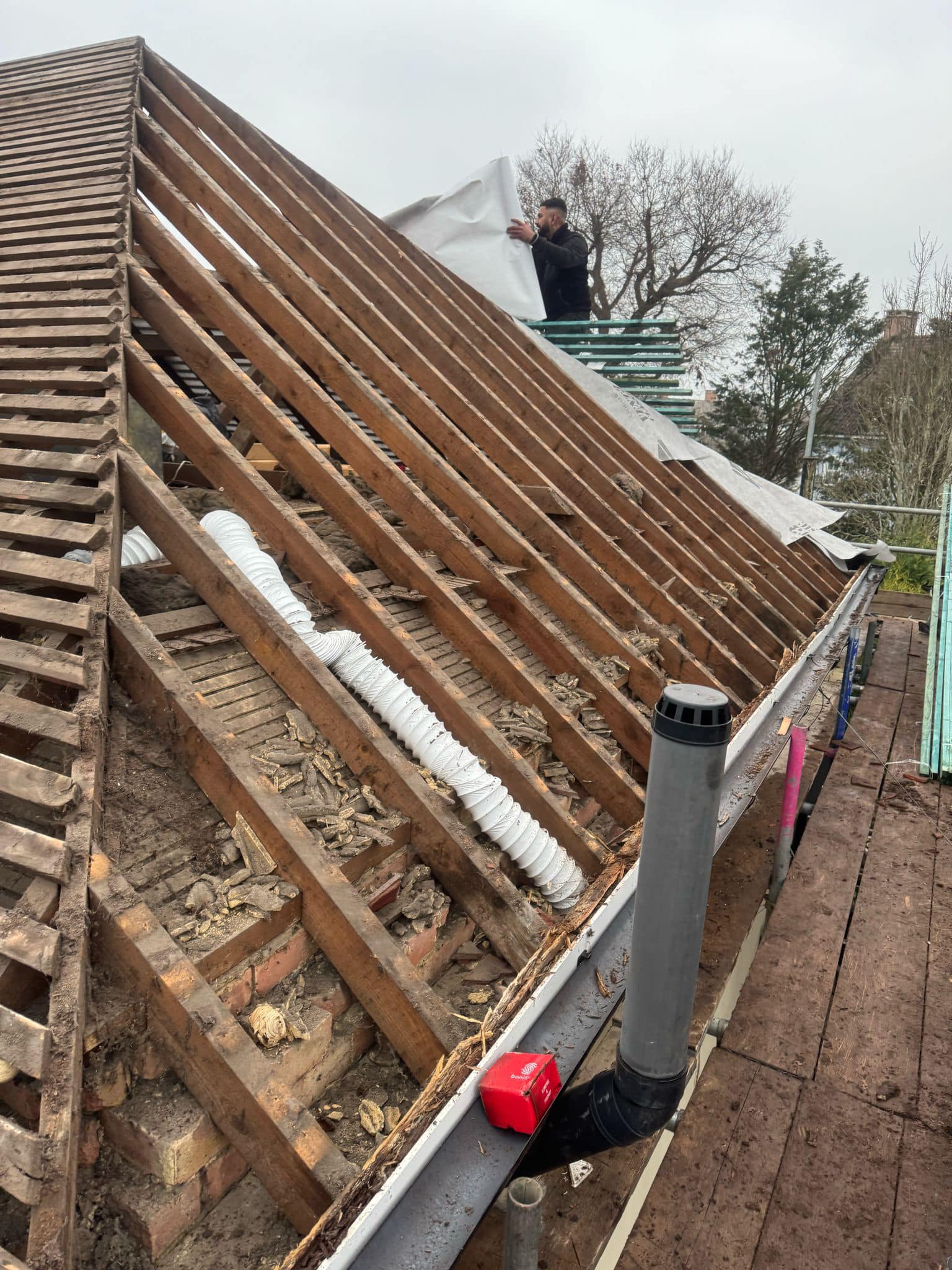 Moss removal in Wimbledon