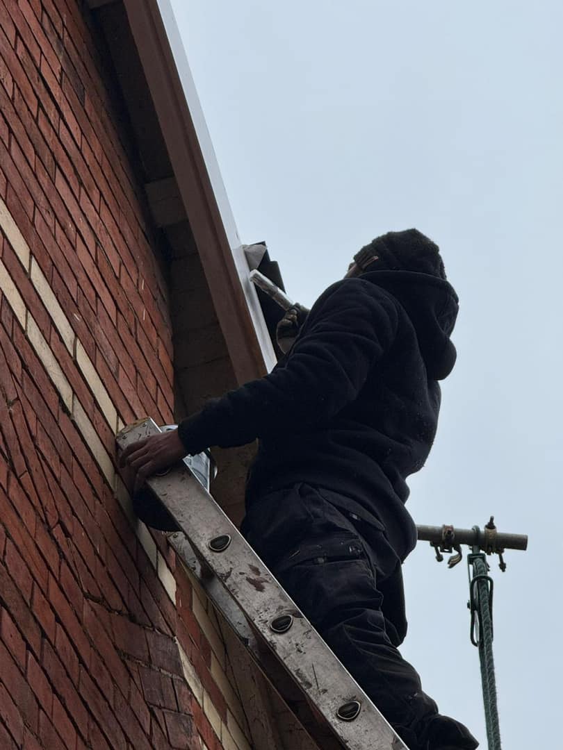 Moss removal in Wimbledon