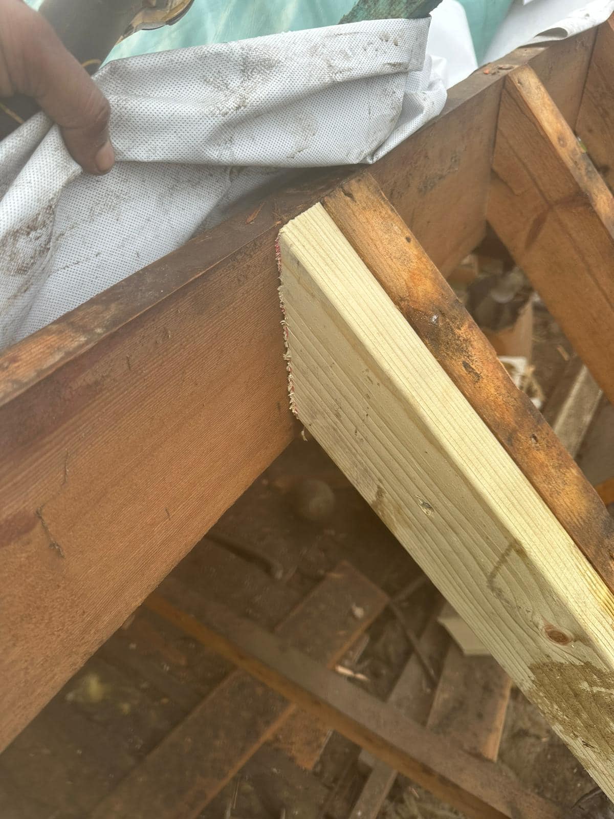 Roof insulation in Richmond