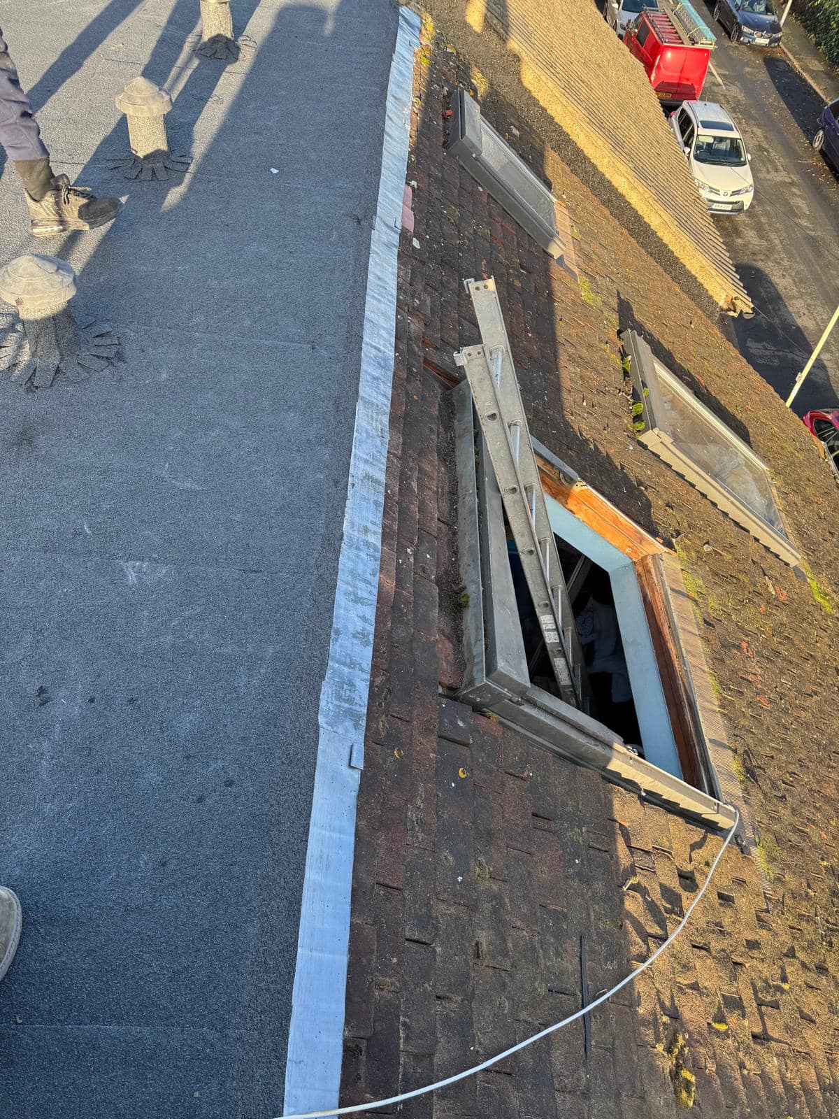 Moss removal in Wimbledon