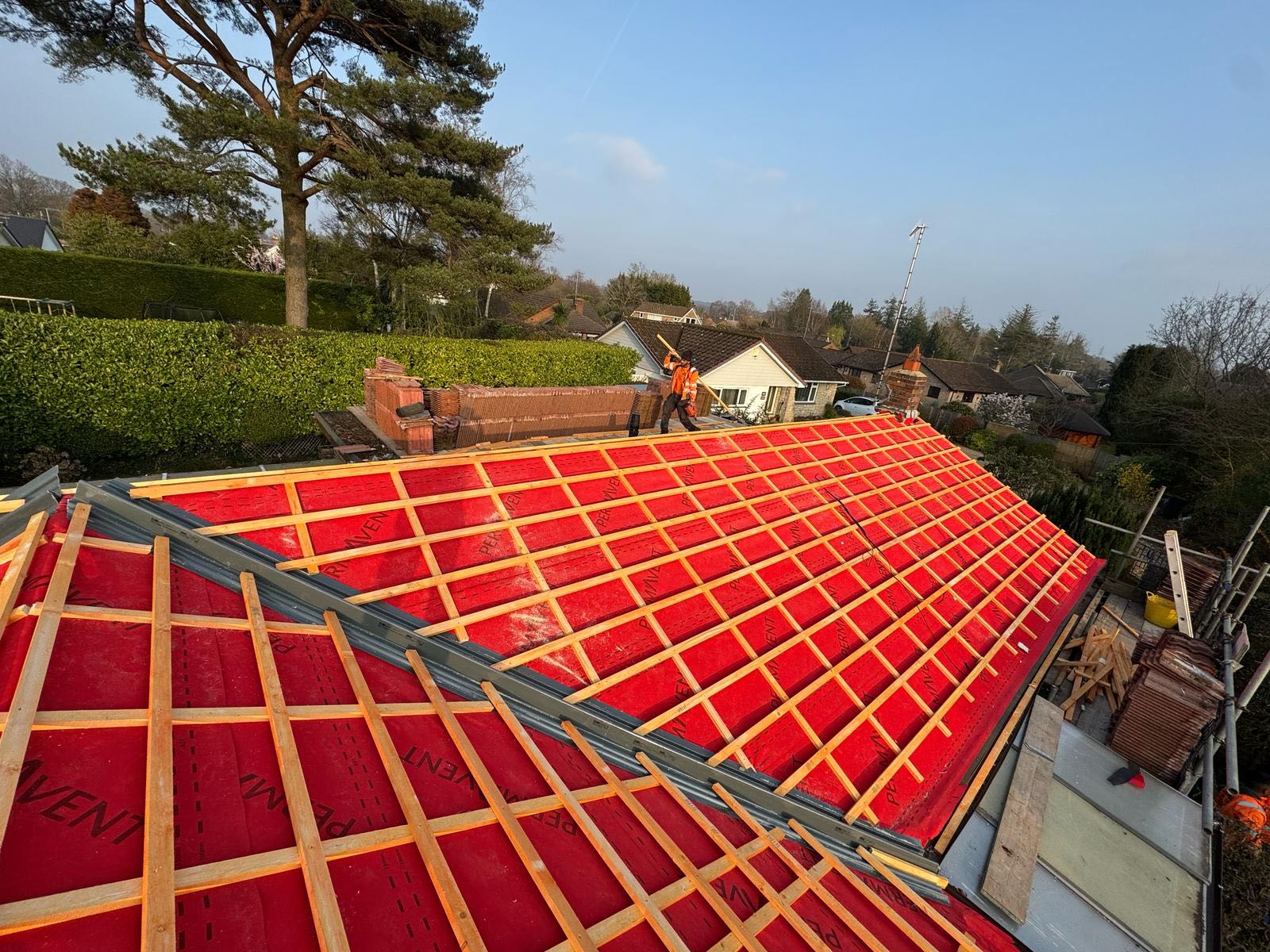 Moss removal in Wimbledon