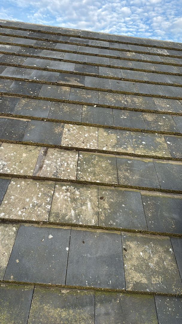Storm damage repair in Battersea