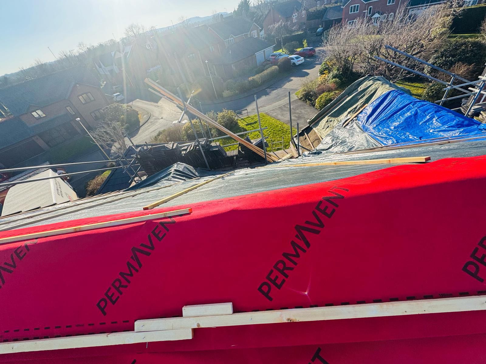 Moss removal in Wimbledon