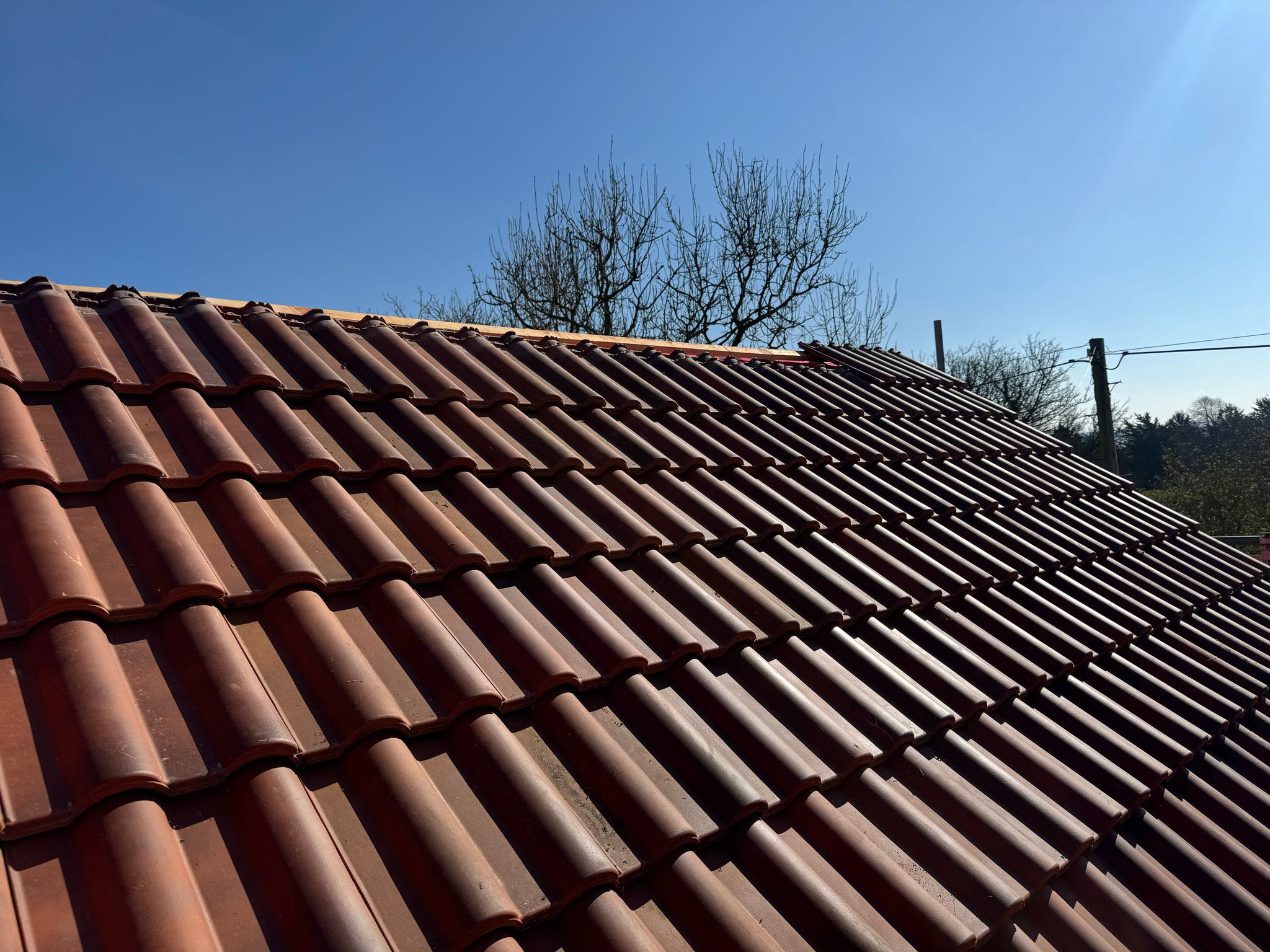 Roof survey in Kensington