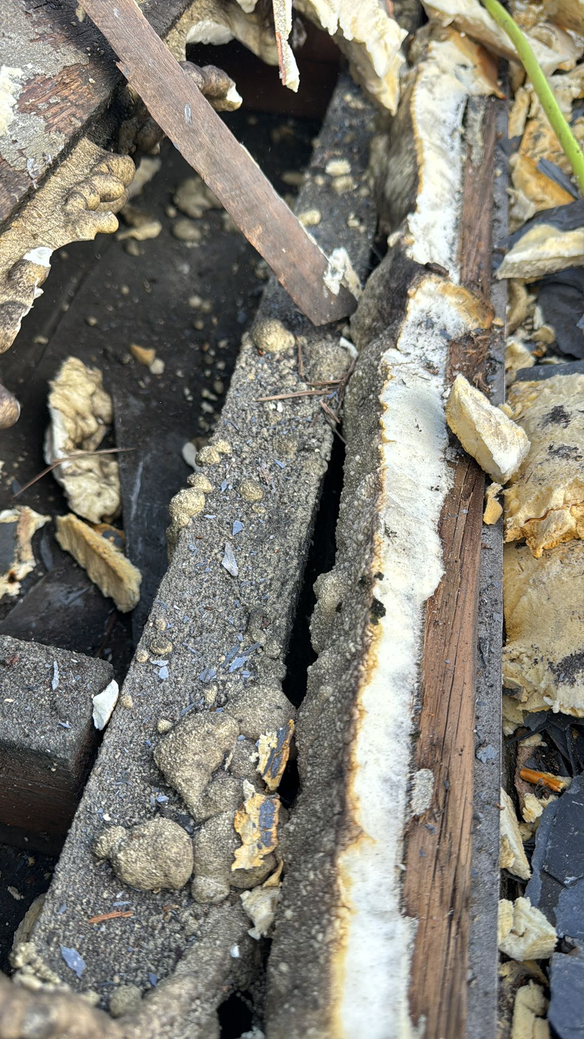Slate roof restoration in Greenwich