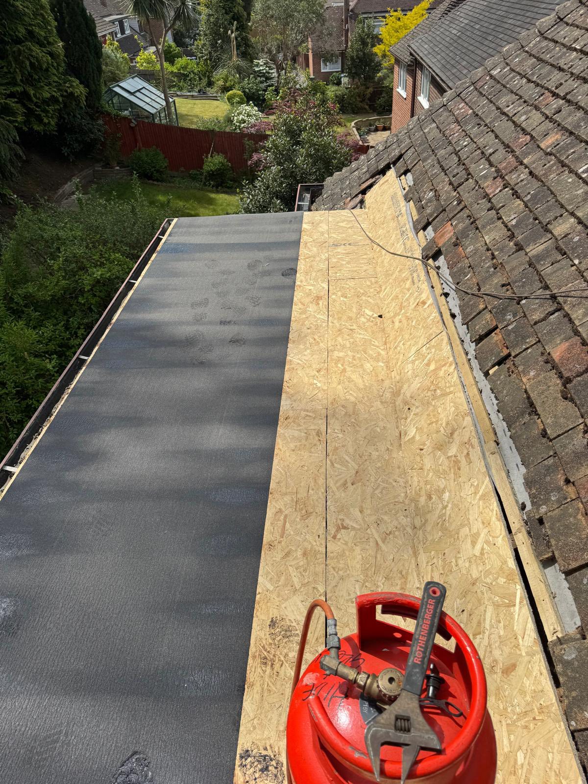 Moss removal in Wimbledon