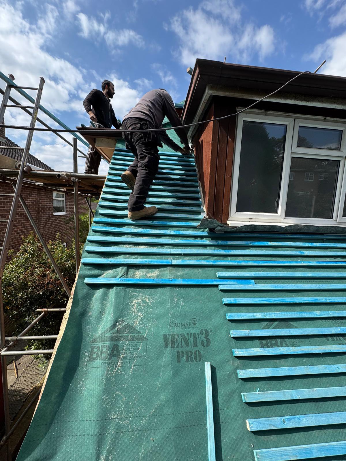 Moss removal in Wimbledon