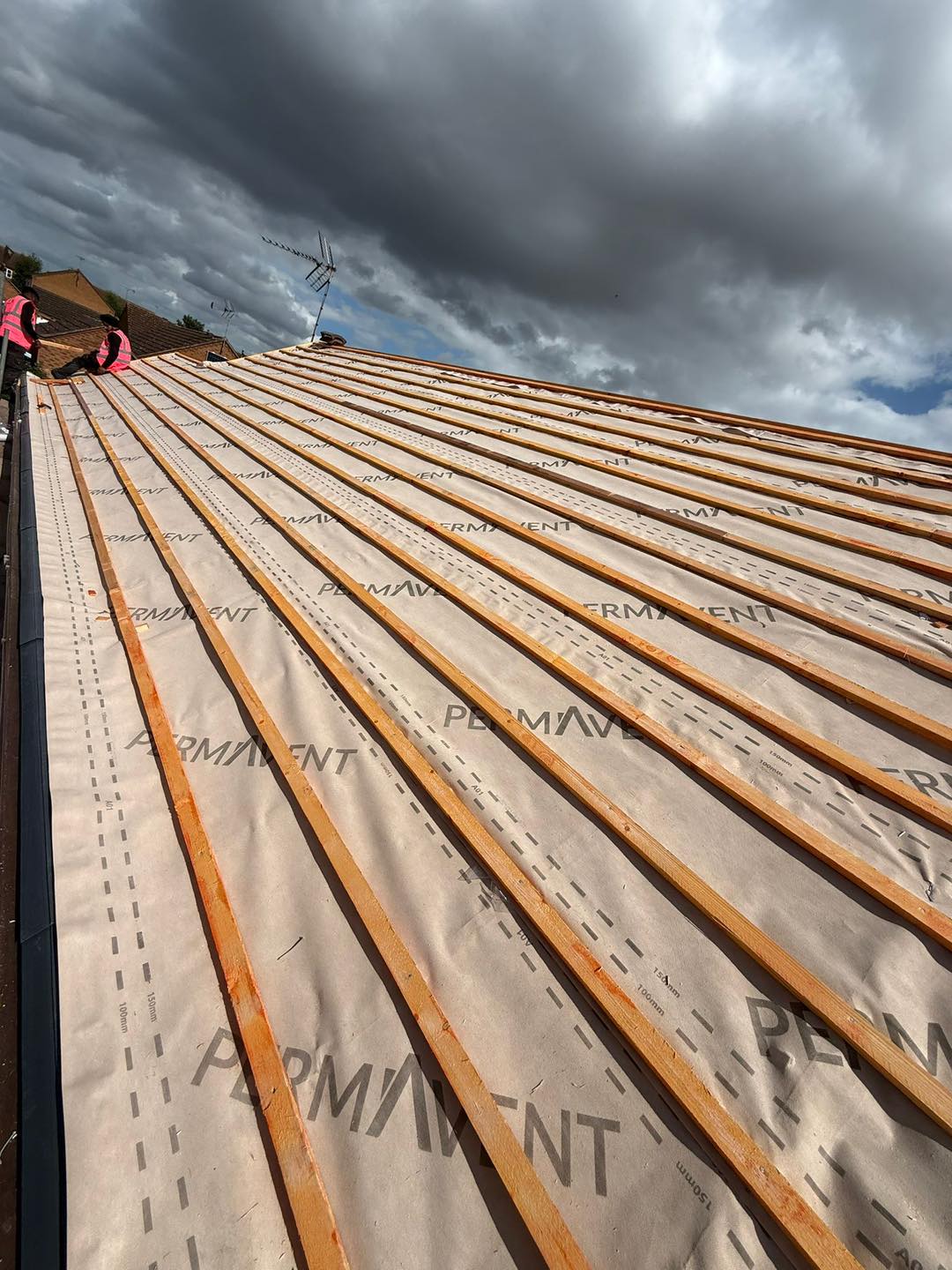 Roof survey in Kensington