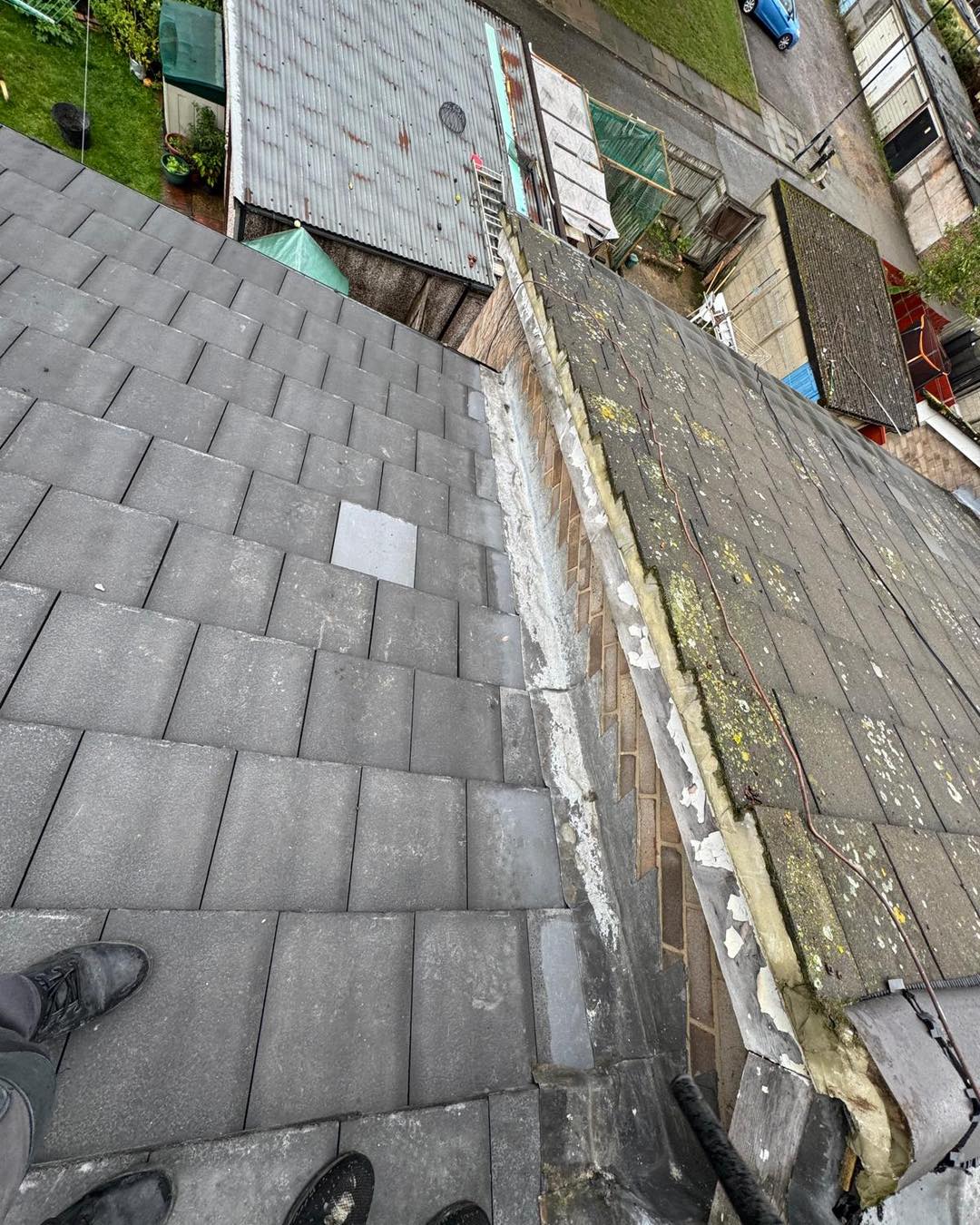 Moss removal in Wimbledon