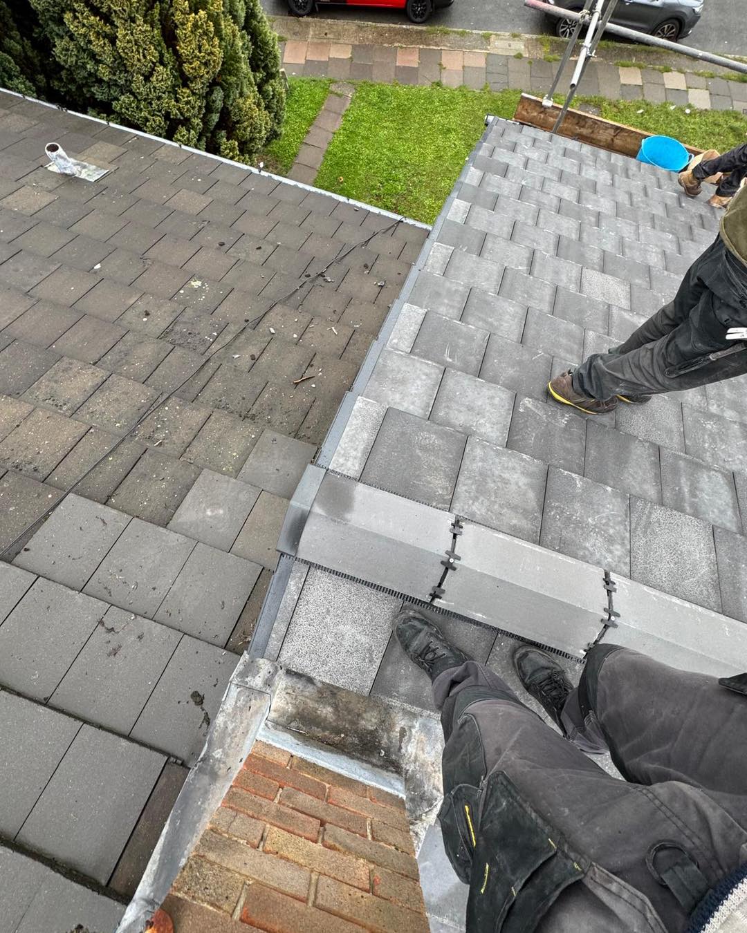 Moss removal in Wimbledon