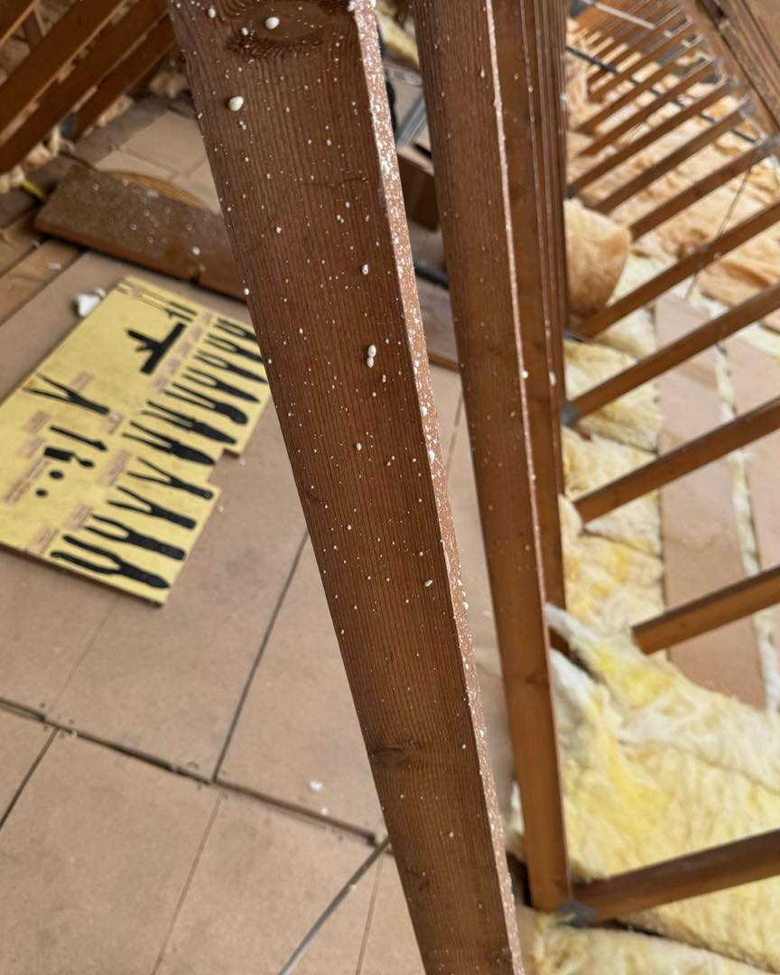 Moss removal in Wimbledon