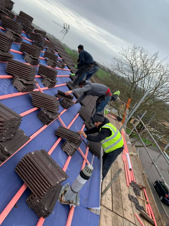 Moss removal in Wimbledon